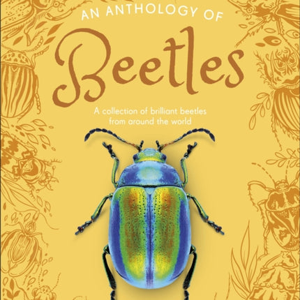 An Anthology of Beetles