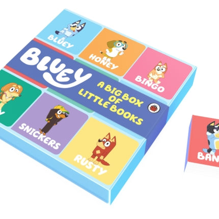 Bluey Big Box of Little Books