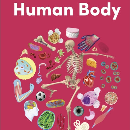 Eyewonder Human Body