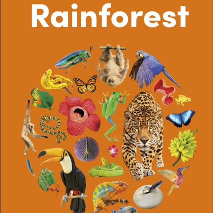 Eyewonder Rainforest