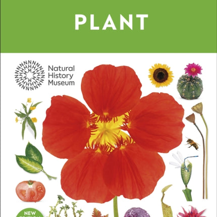 Eyewitness Plant