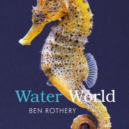 Water World