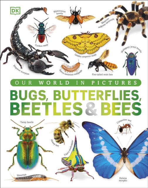 Our World in Pictures Bugs Butterflies Beetles and Bees