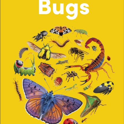 Eyewonder Bugs