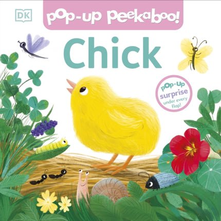 Popup Peekaboo Chick
