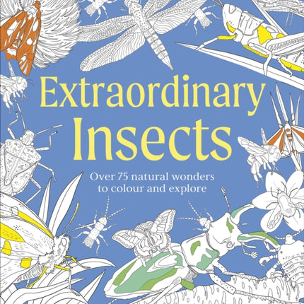 Extraordinary Insects Colouring Book