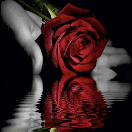 Bring Me Dreams Of Roses