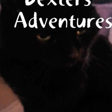 Dexters Adventures