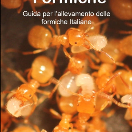 CONOSCERE LE FORMICHE