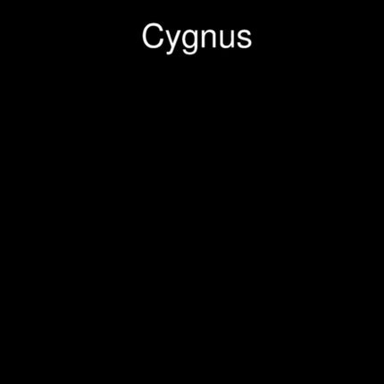 Cygnus