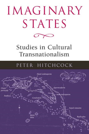 Imaginary States: STUDIES IN CULTURAL TRANSNATIONALISM