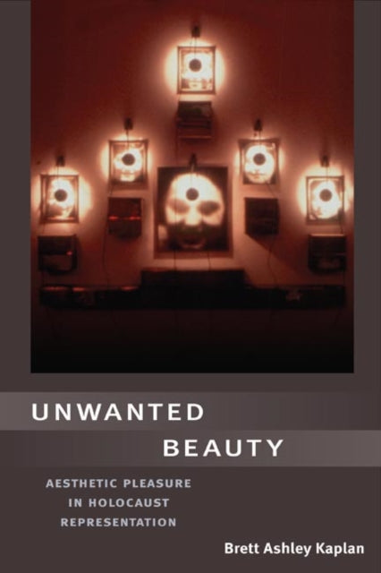 Unwanted Beauty: Aesthetic Pleasure in Holocaust Representation