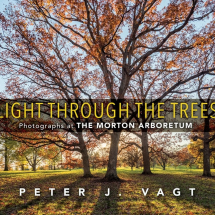 Light Through the Trees: Photographs at The Morton Arboretum