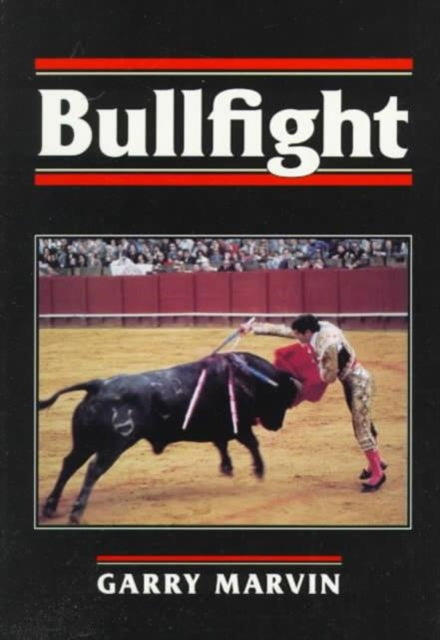 BULLFIGHT