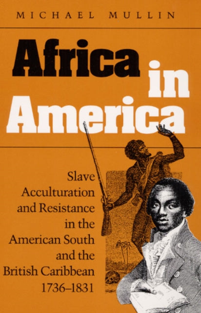 Africa in America: Slave Acculturation and Resistance in the American South and the British Caribbean, 1736-1831