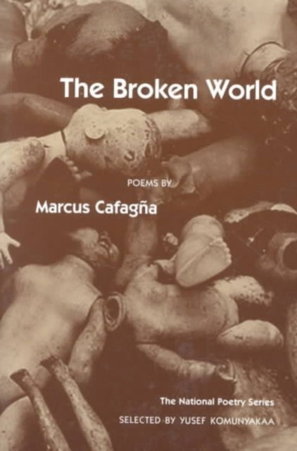 The Broken World: POEMS