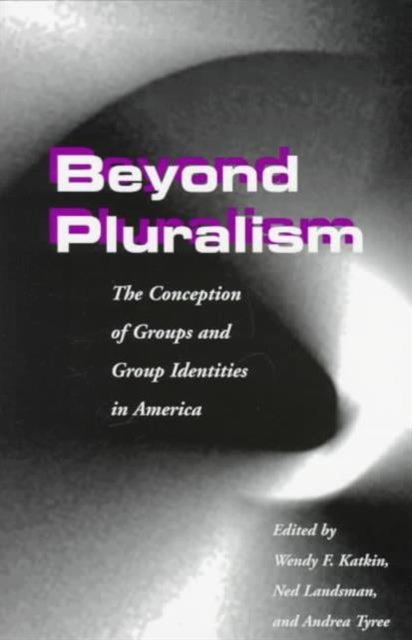 Beyond Pluralism: The Conception of Groups and Group Identities in America