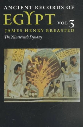 Ancient Records of Egypt: Vol. 3: The Nineteenth Dynasty