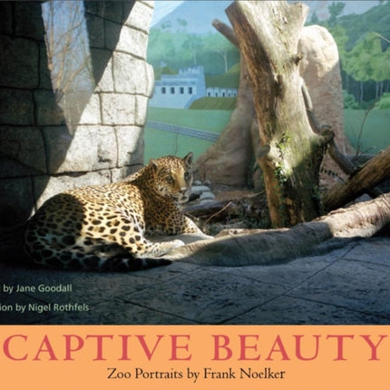 Captive Beauty