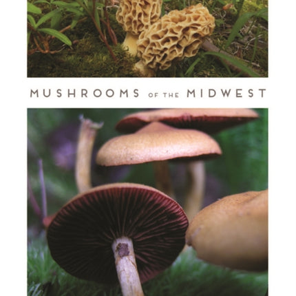 Mushrooms of the Midwest