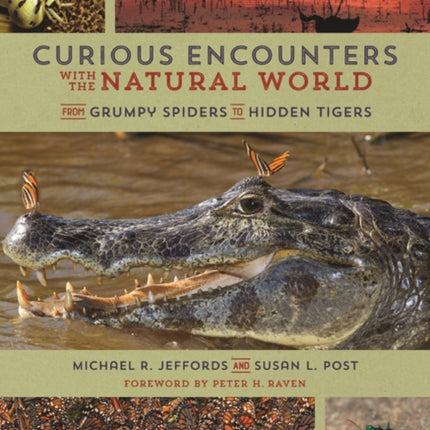 Curious Encounters with the Natural World  From