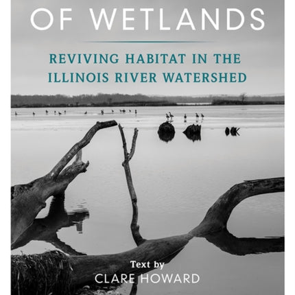 In the Spirit of Wetlands: Reviving Habitat in the Illinois River Watershed