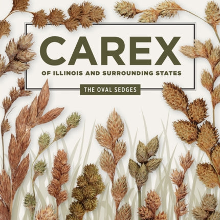 Carex of Illinois and Surrounding States  The