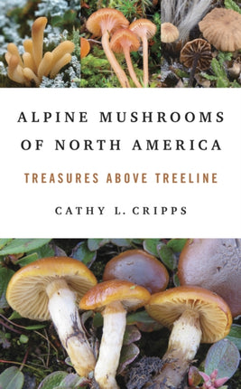 Alpine Mushrooms of North America  Treasures above Treeline