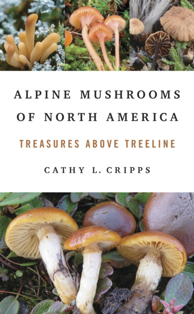 Alpine Mushrooms of North America  Treasures above Treeline