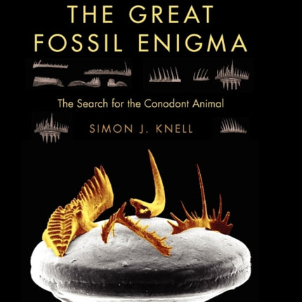 The Great Fossil Enigma The Search for the