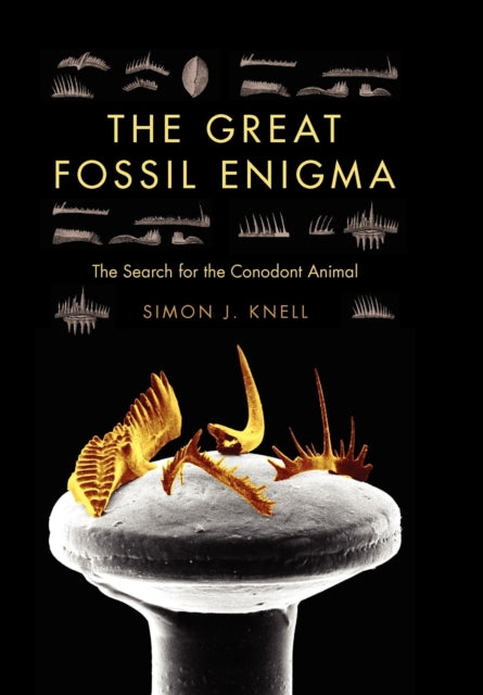 The Great Fossil Enigma The Search for the