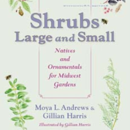 Shrubs Large and Small: Natives and Ornamentals for Midwest Gardens