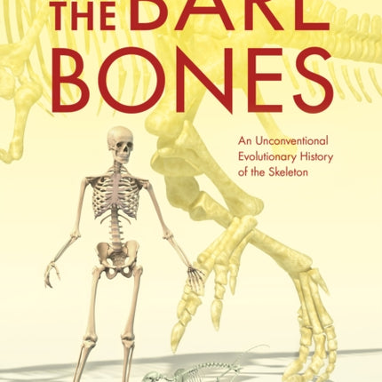 The Bare Bones