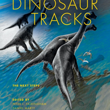 Dinosaur Tracks: The Next Steps