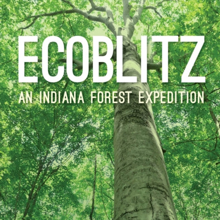 Ecoblitz
