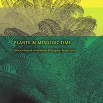 Plants in Mesozoic Time: Morphological Innovations, Phylogeny, Ecosystems