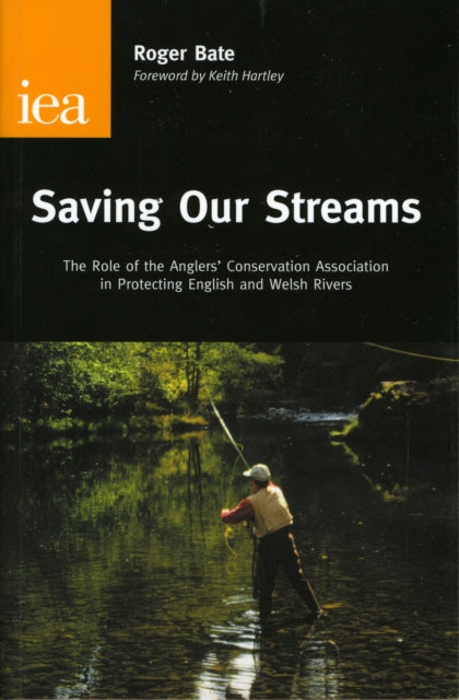 Saving Our Streams