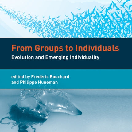 From Groups to Individuals: Evolution and Emerging Individuality