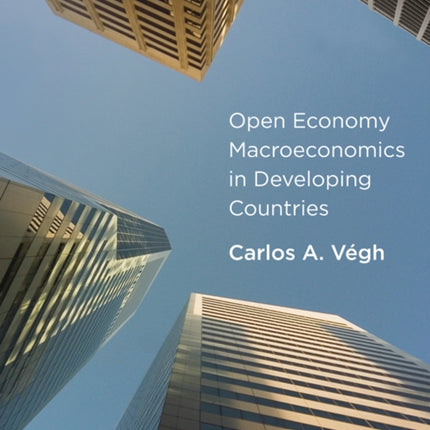 Open Economy Macroeconomics in Developing Countries