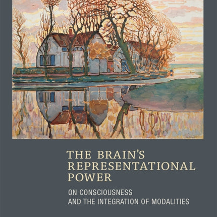 The Brain's Representational Power: On Consciousness and the Integration of Modalities