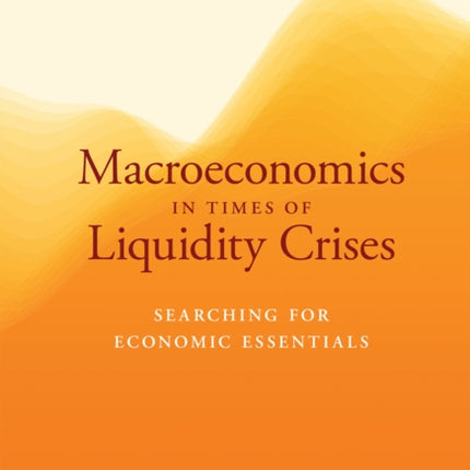 Macroeconomics in Times of Liquidity Crises
