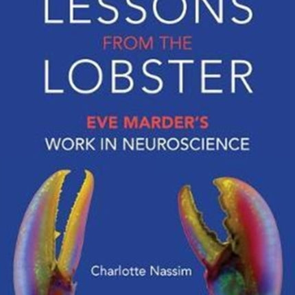 Lessons from the Lobster Eve Marders Work in