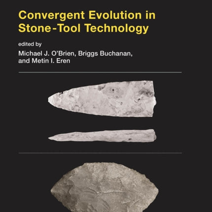 Convergent Evolution in Stone-Tool Technology