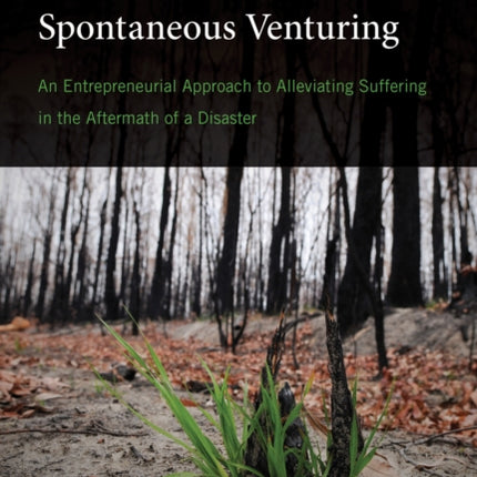 Spontaneous Venturing  An Entrepreneurial Approach to Alleviating Suffering in the Aftermath of a Disaster