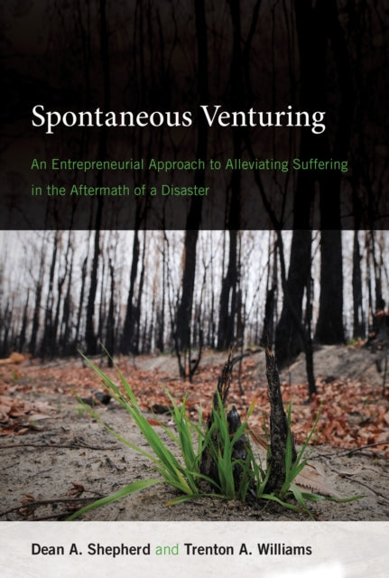 Spontaneous Venturing  An Entrepreneurial Approach to Alleviating Suffering in the Aftermath of a Disaster