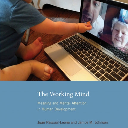 The Working Mind: Meaning and Mental Attention in Human Development