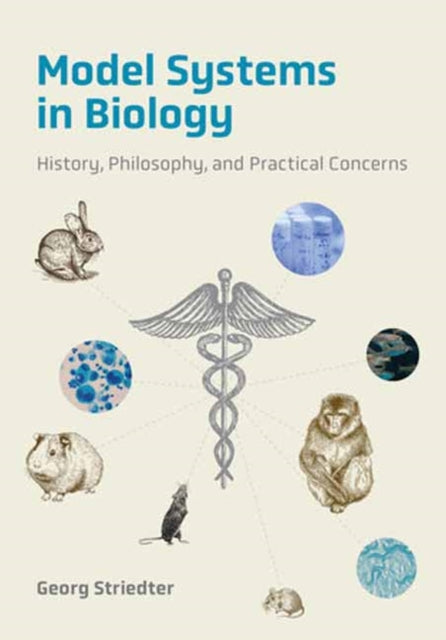 Model Systems in Biology: History, Philosophy, and Practical Concerns