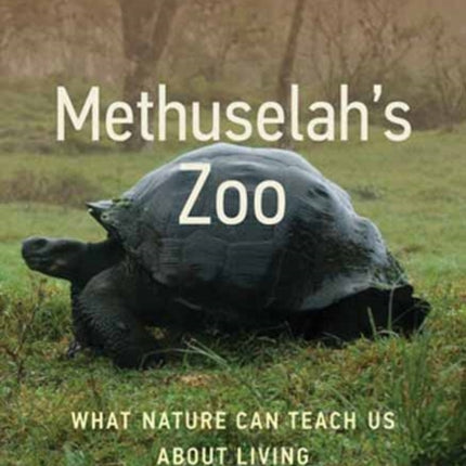 Methuselah's Zoo: What Nature Can Teach Us about Living Longer, Healthier Lives