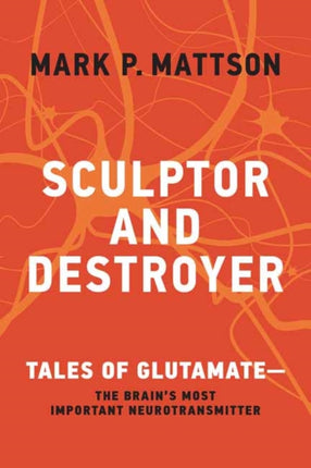 Sculptor and Destroyer: Tales of Glutamatethe Brains Most Important Neurotransmitter