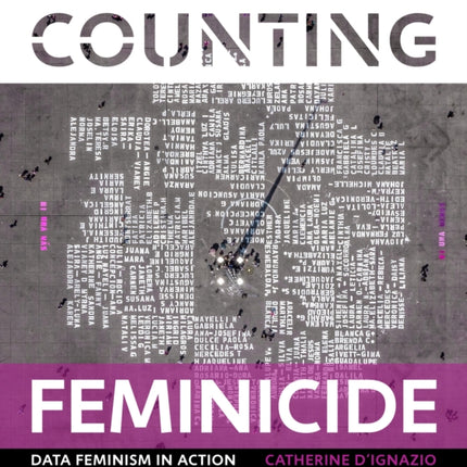 Counting Feminicide